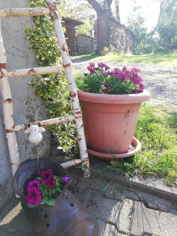 Anna - Neue Ferienwohnung Mit Blick Ins Gruene Ober-Abtsteinach Exterior foto